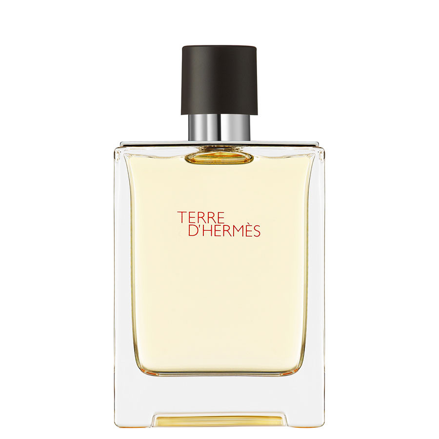 Hermes Terre d'Hermes EDT 100 ml